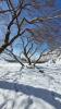 Test 1